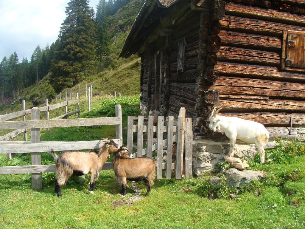 Landhotel Haeuserl Im Wald Грьобминг Екстериор снимка