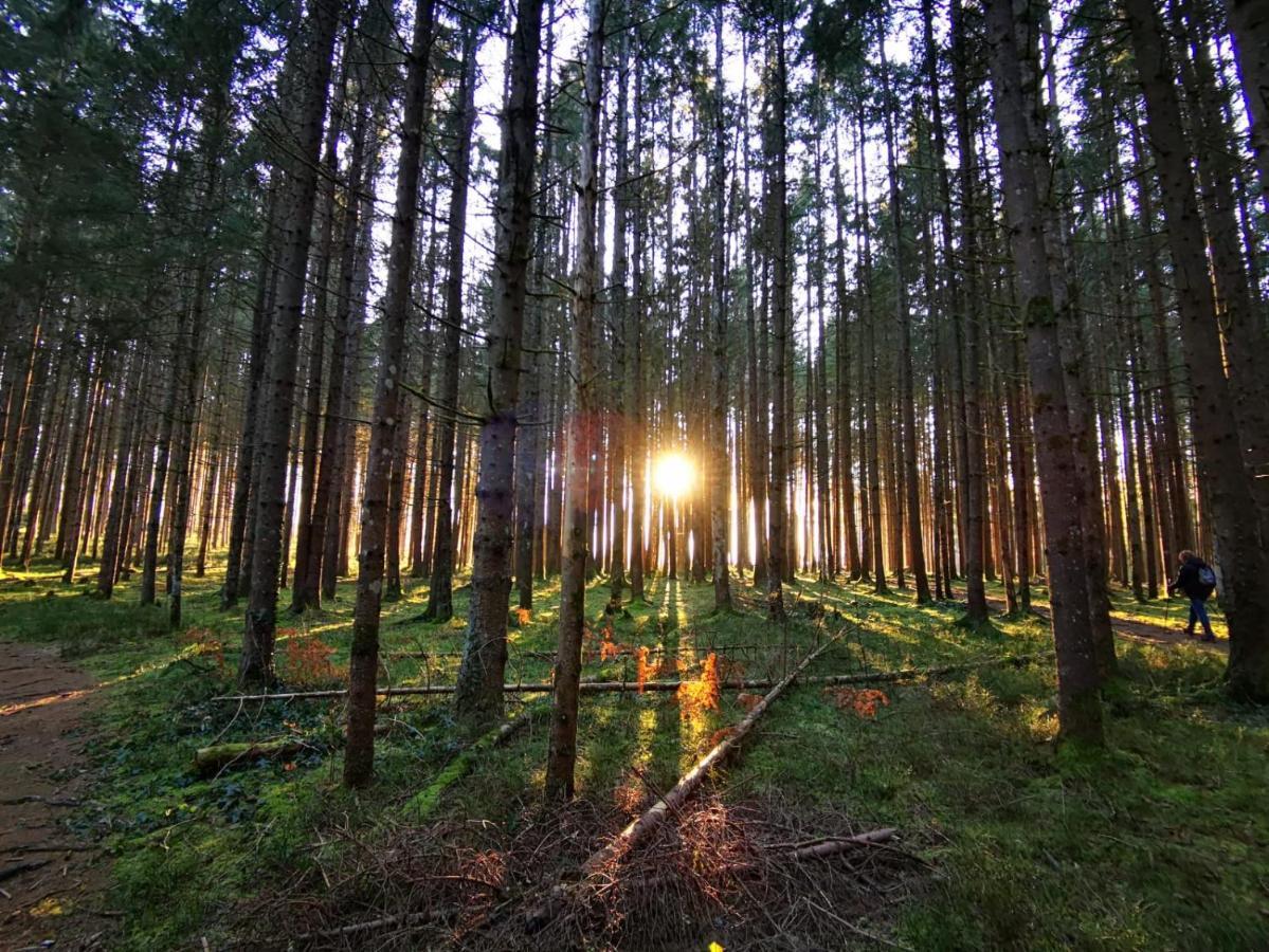 Landhotel Haeuserl Im Wald Грьобминг Екстериор снимка